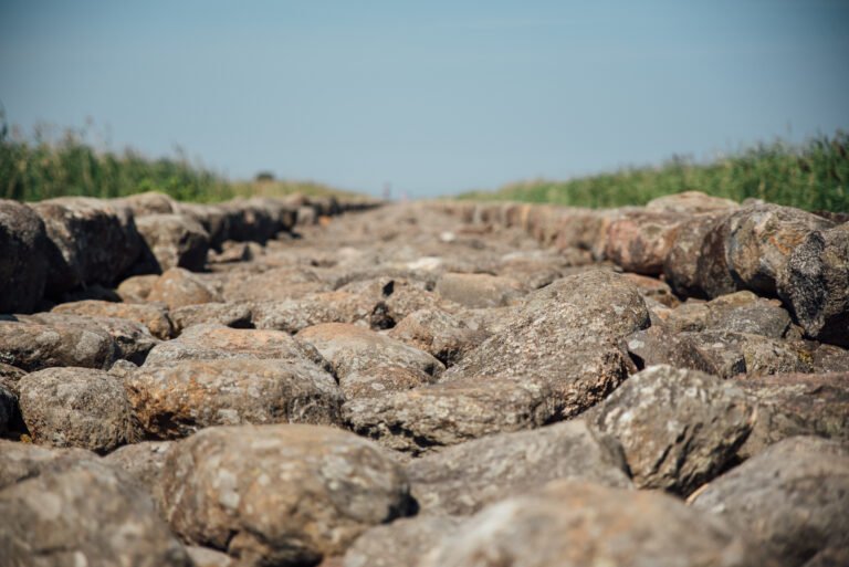 The Analyst’s View: Why Life Needs a Baseline