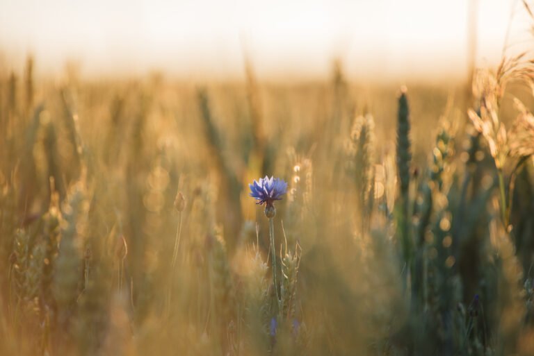 The Honest Map: Why I Still Use My Own Tools Every Day