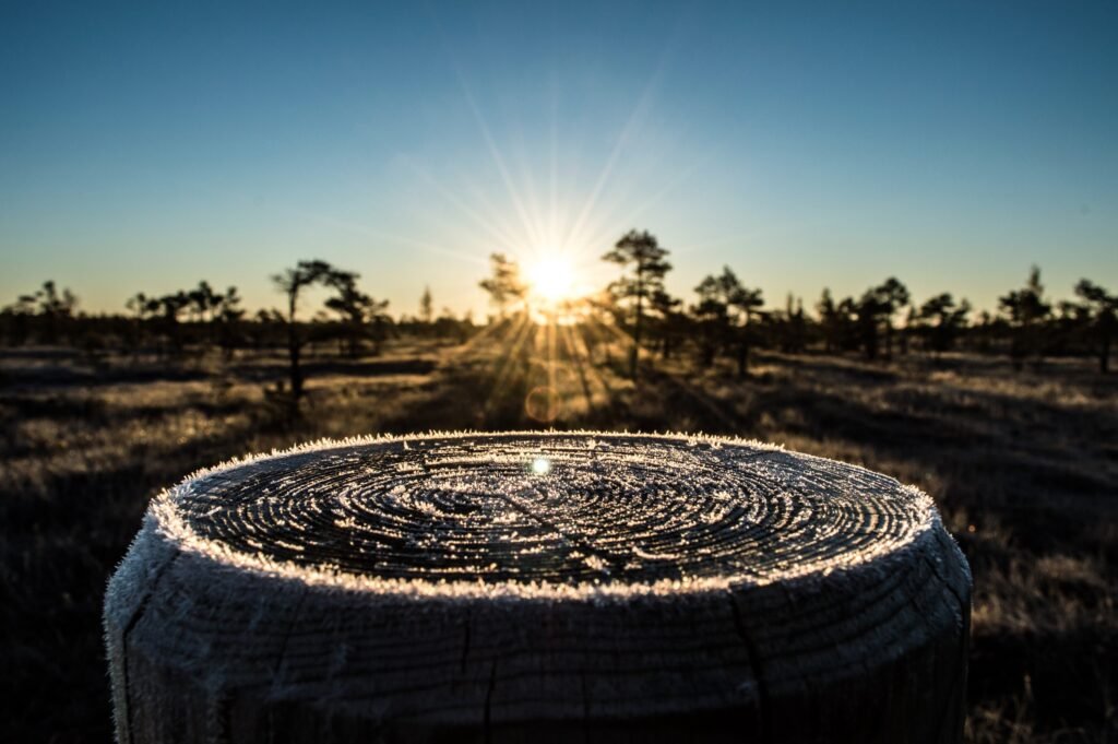 The Frost Circle: A natural metaphor for the Circle of Focus. In Chapter 1, we clear the fog and focus only on what is within our immediate reach.