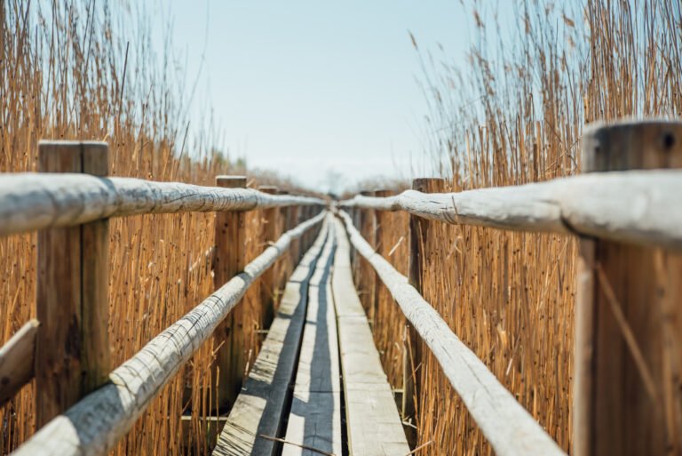 The Logic of Subtraction: Why I Started GuyAfterWork