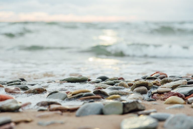 The Daily Core Four: My Minimum Effective Dose of Health