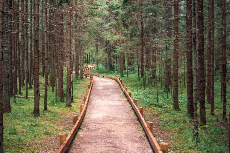 The Guardrail Budget: A Financial Analyst’s Guide to Stress-Free Money